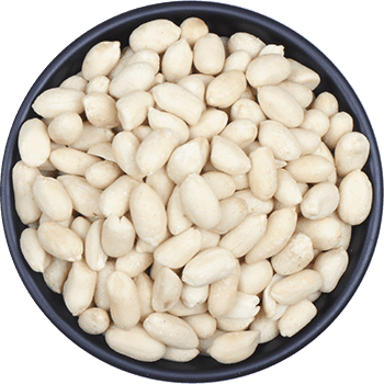 Blanched Peanuts